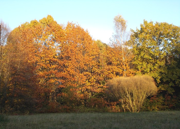 DSCN3622.JPG